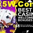 E66